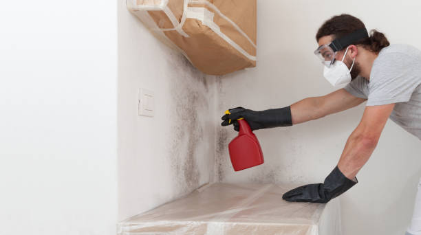 Professional Bathroom Mold Removal technician working in Carrollton, VA