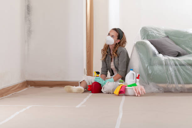 Reliable Bathroom Mold Removal contractor in Carrollton, VA by 24 Hour Mold Removal